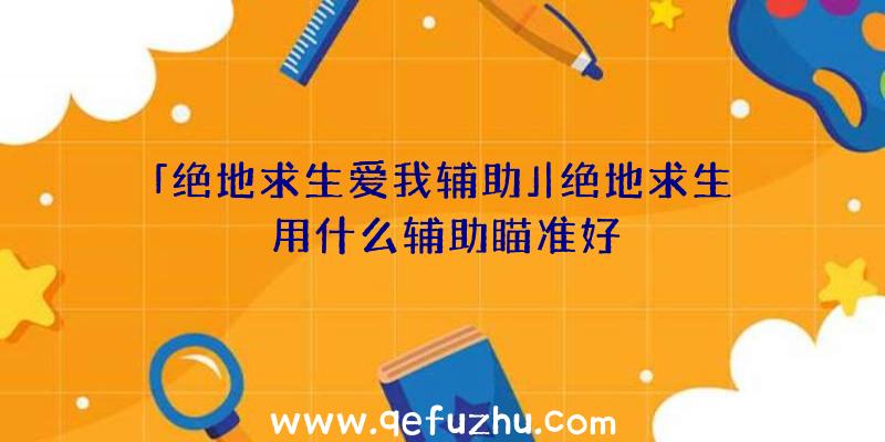 「绝地求生爱我辅助」|绝地求生用什么辅助瞄准好